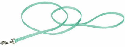 Coastal Pet Single-Ply Nylon Dog Leash Teal  4'L x 3/8"W