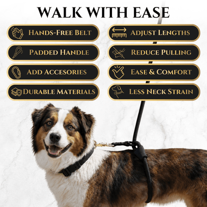 Calm Command © Hands Free, No-Pull Leash