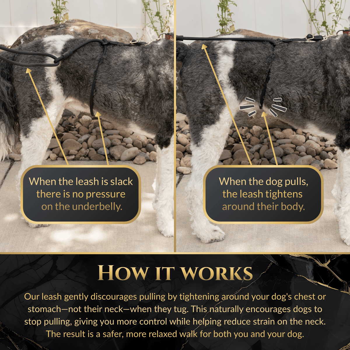Calm Command © Hands Free, No-Pull Leash