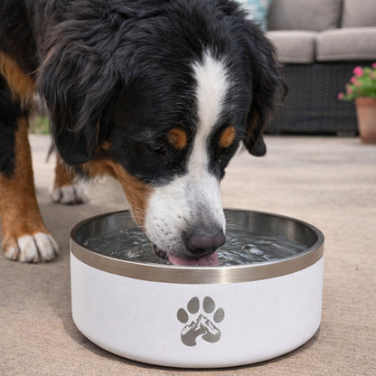 Stainless Steel Non-Slip Dog Bowl