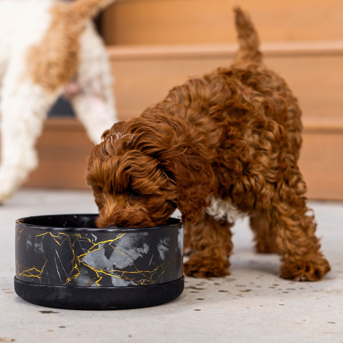 Limited Edition Black & Gold Marble Ceramic Dog Bowl